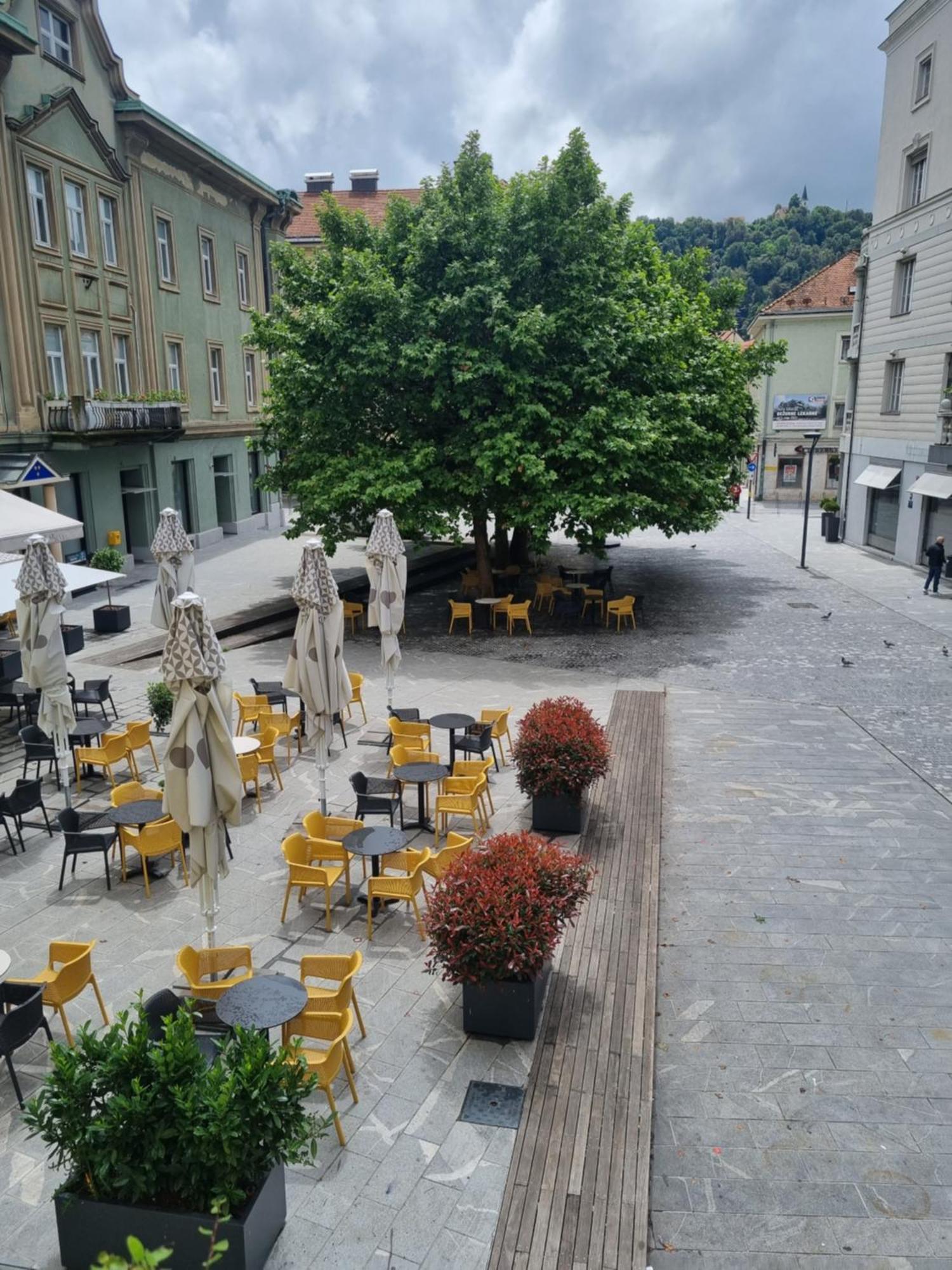 Apartments Fazarinc S Parkiriscem Celje Luaran gambar