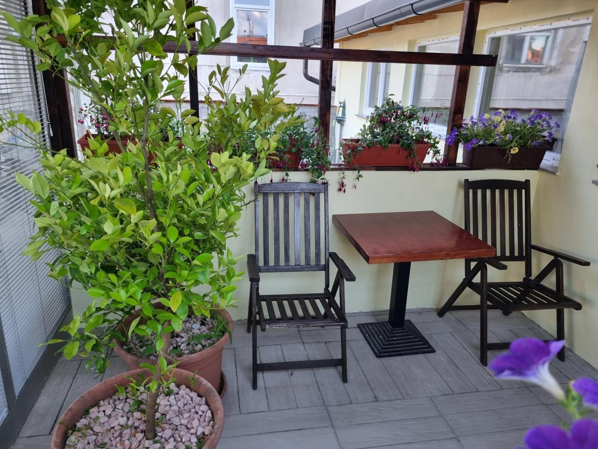 Apartments Fazarinc S Parkiriscem Celje Luaran gambar